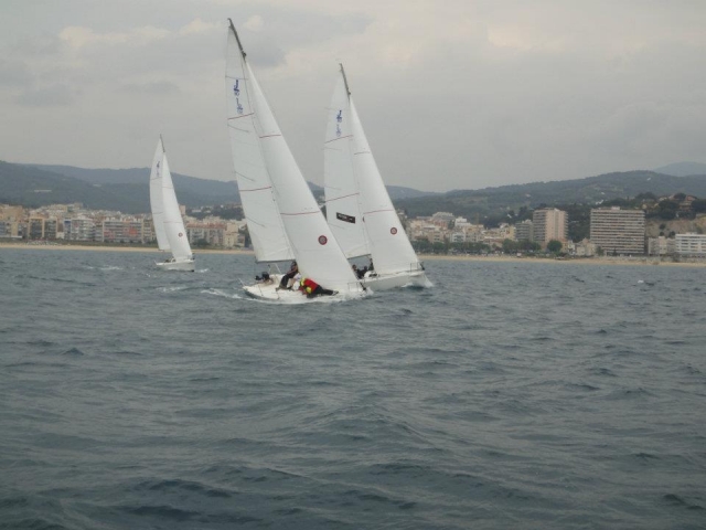 Veleros en competicion